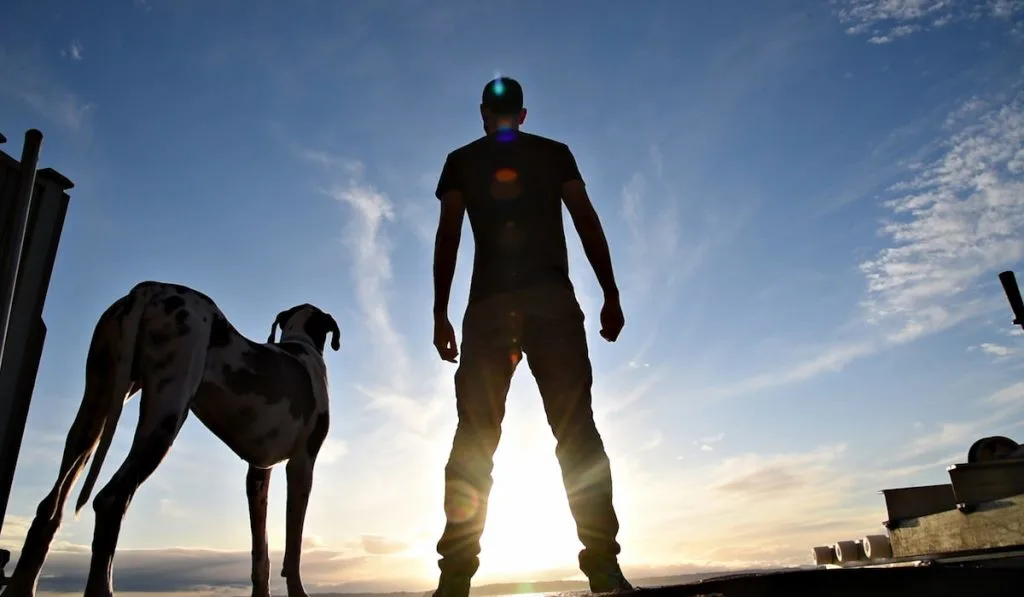 Man and dog enjoying sunset