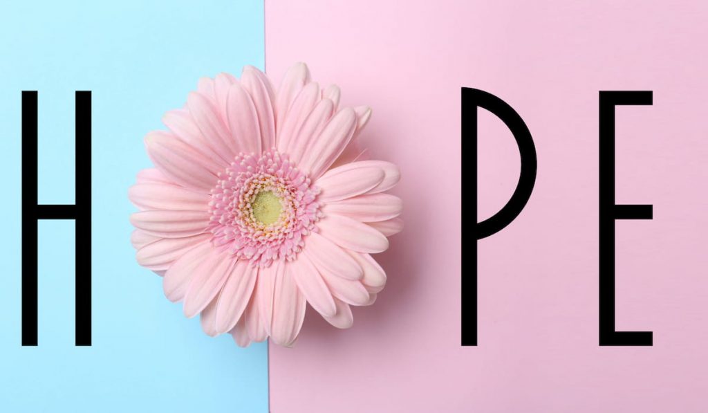 Word HOPE made with letters and beautiful gerbera on color background